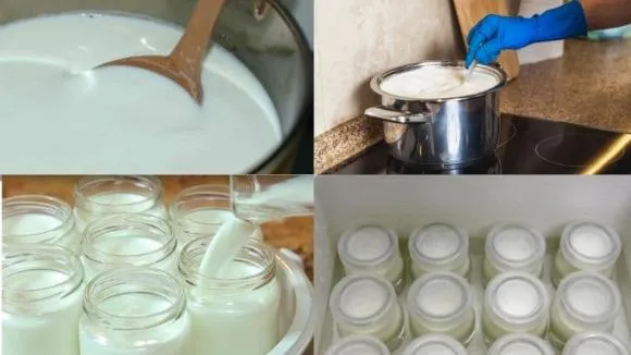 Cách làm sữa chua trân châu Hạ Long tại nhà: Nhất định đừng nhầm lẫn trong bước này nếu không muốn ‘bỏ đi’