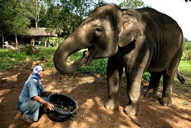 ‘Hoảng hồn’ với 7 món ăn siêu kinh dị nhất hành tinh