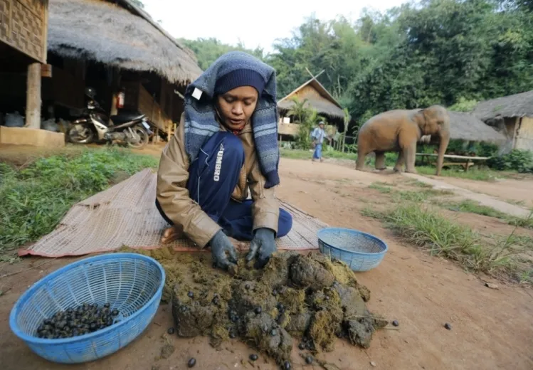 ‘Hoảng hồn’ với 7 món ăn siêu kinh dị nhất hành tinh