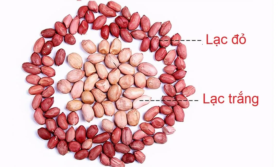 Khi mua lạc, nên chọn loại hạt trắng hoặc đỏ? Thực tế, chúng có sự chênh lệch lớn, không khéo sẽ mua nhầm và phí tiền