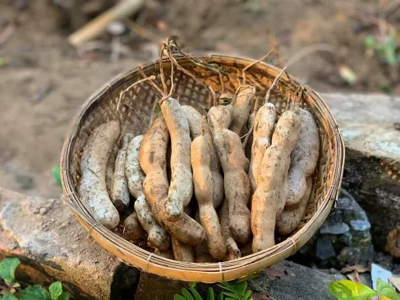 ‘Mẹ đảm’ tiết lộ cách làm mứt me chua chua cay cay vào dịp Tết