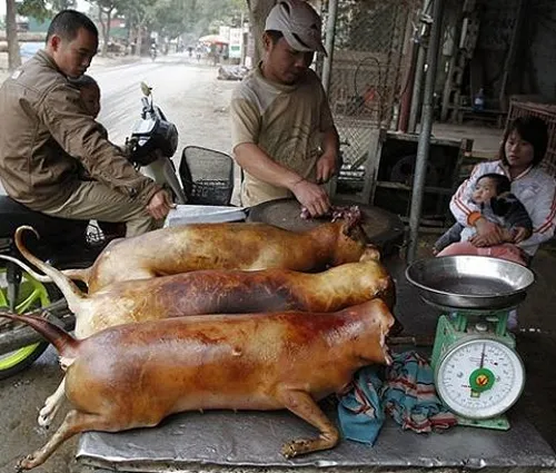 Những món ăn đáng sợ nhất hành tinh