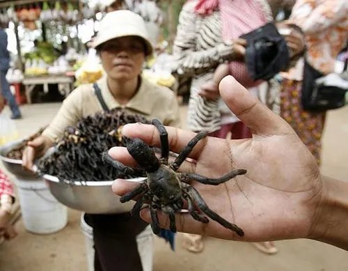 Những món ăn đáng sợ nhất hành tinh