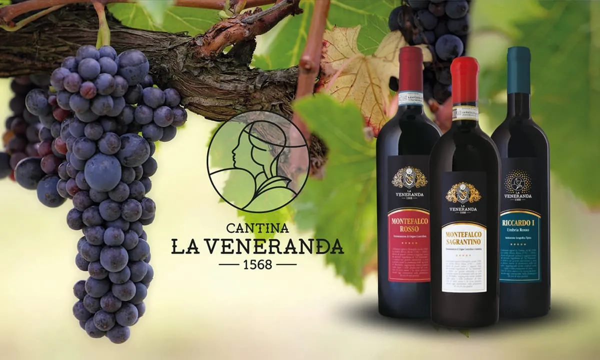 Rượu vang La Veneranda – Thức uống hảo hạng cao cấp của thế giới